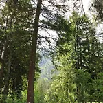 Camping La Pineta