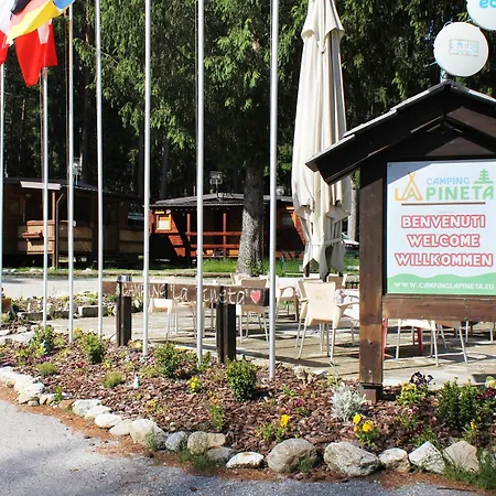 La Pineta *