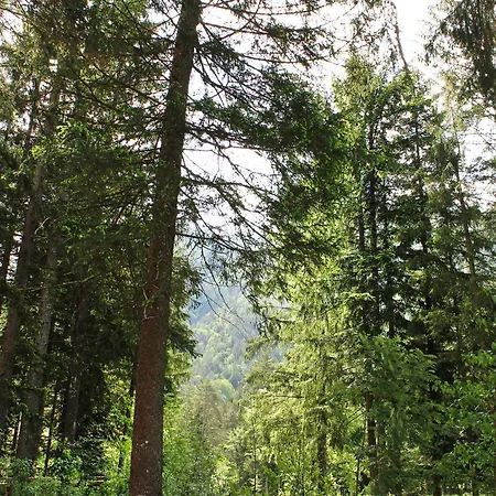 Camping La Pineta